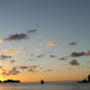 Meet your Posher, Bridget